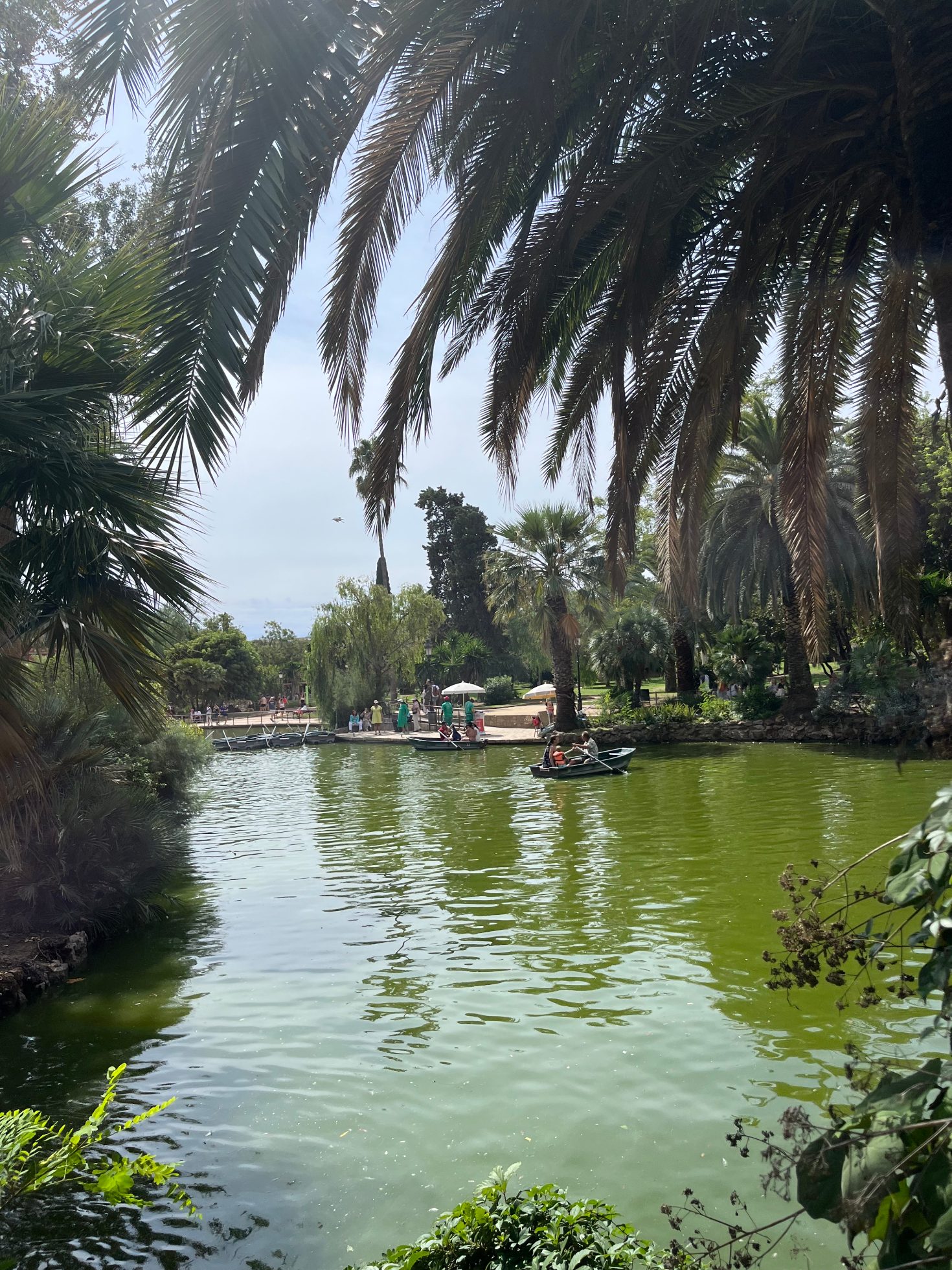 Park Ciutadella w Barcelonie. Zielona przestrzeń z fontanną i palmami.
